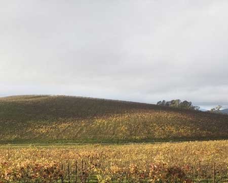 bliss location - أخبار تقنية